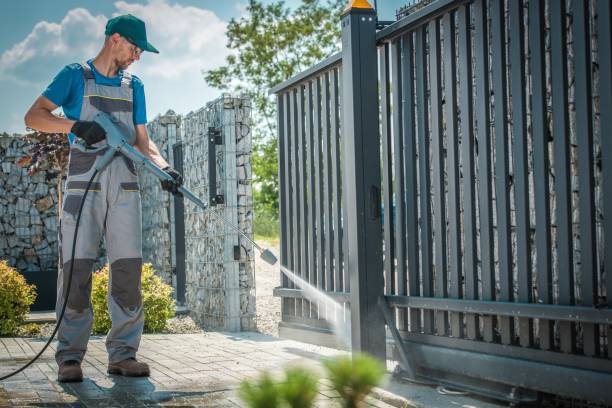 Best Boat and Dock Cleaning  in Rossvle, IL